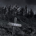 Miniature Photo suivante: Le Xanadu de X-0716