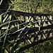 Miniature Photo suivante: Parc de Séroule - 2018_11_04_141455