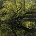 Miniature Photo précédente: Parc de Séroule - 2018_11_04_141525