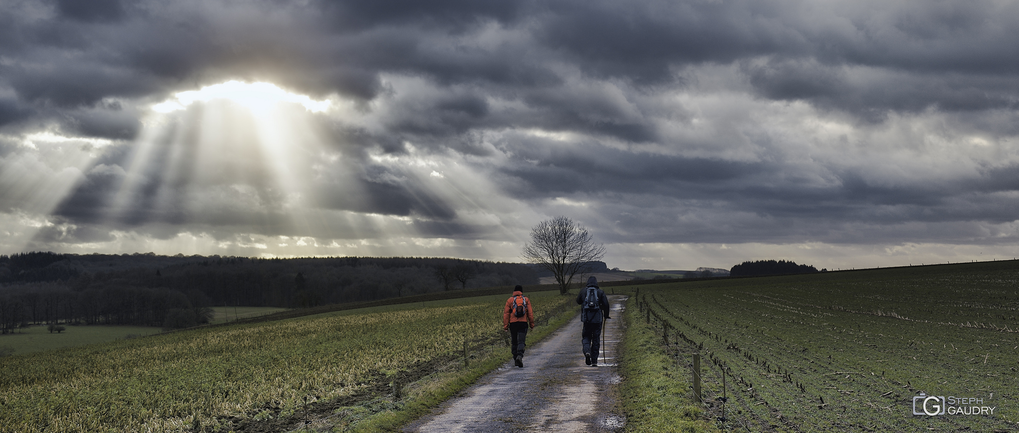 Promenades hivernales / Ouffet 2015_01_11_150931