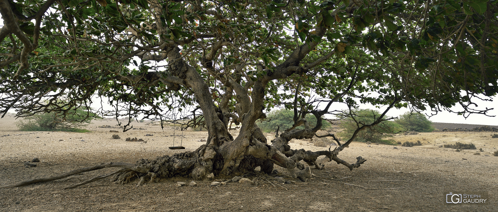 Boa Vista - Cap Vert / Les plaisirs simples à l'ombre d'un amandier