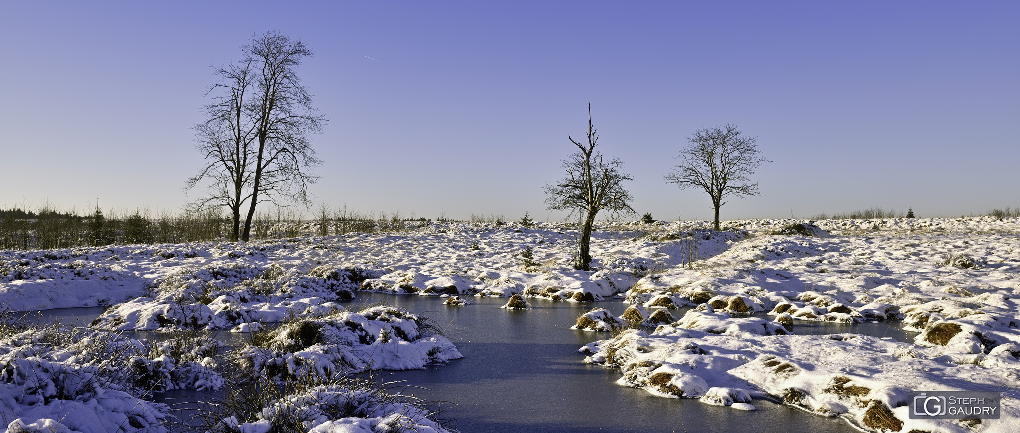 Brackvenn 2019_01_20_164829 [Klik om de diavoorstelling te starten]