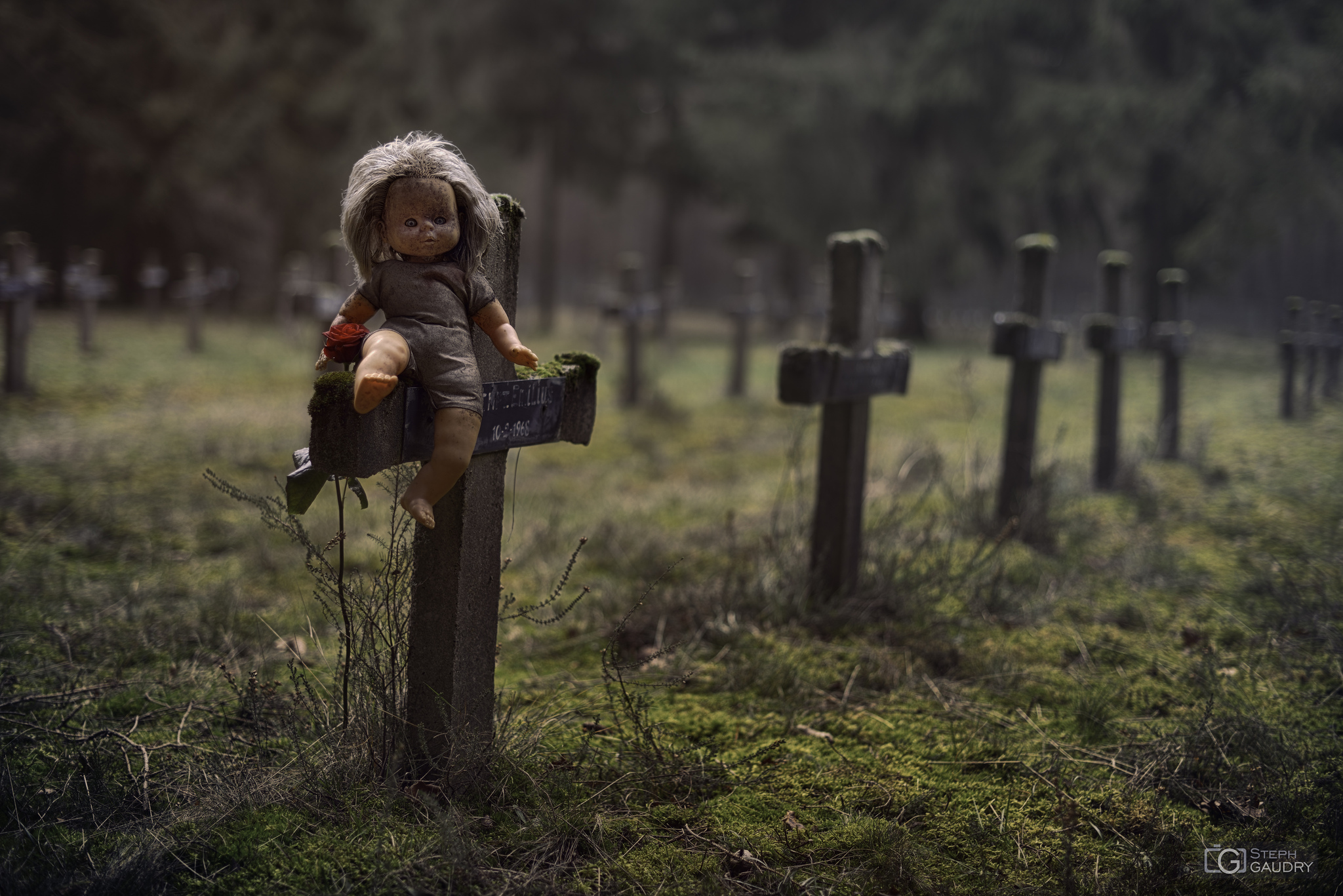 Cimetières et cryptes / Insane cemetery