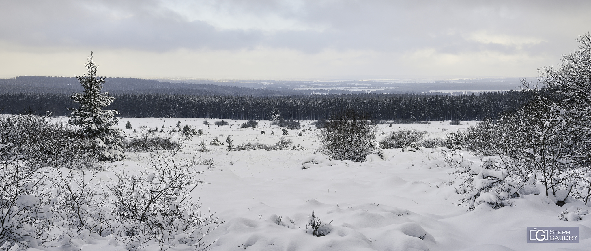 Signal de Botrange, vue sur la fagne [Cliquez pour lancer le diaporama]