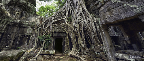 Temple de Ta Prohm