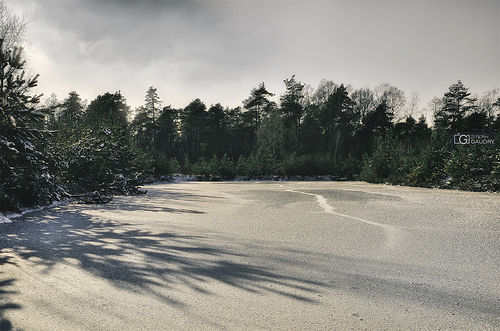 Lac gelé dans la fagne de Malchamps