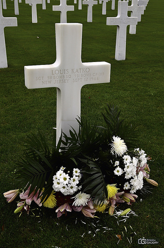Ardennes American Cemetery - flowers