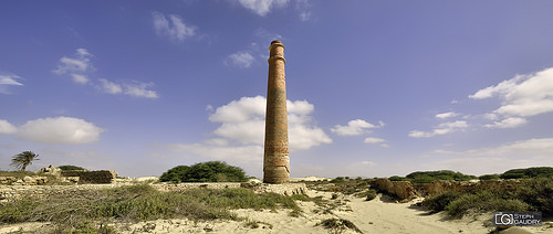 Ruines d'une ancienne fabrique de briques