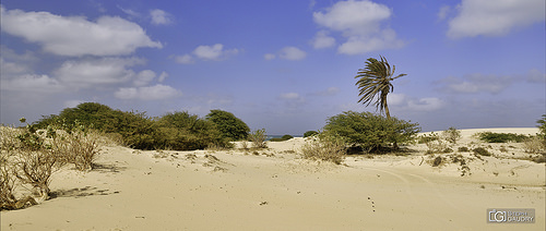 Une plage de rêve au Cap Vert