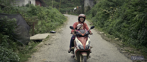 Vietnam - les joies du scooter