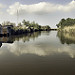 Thumb Lago di Massaciuccoli  (del Parco naturale di Migliarino)