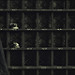 Miniature Photo précédente: Coal mine, jacket, masks, and tokens