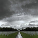 Thumb Ardennes American Cemetery and Memorial