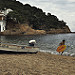 Miniature Photo suivante: