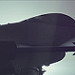 Miniature Photo suivante: F16