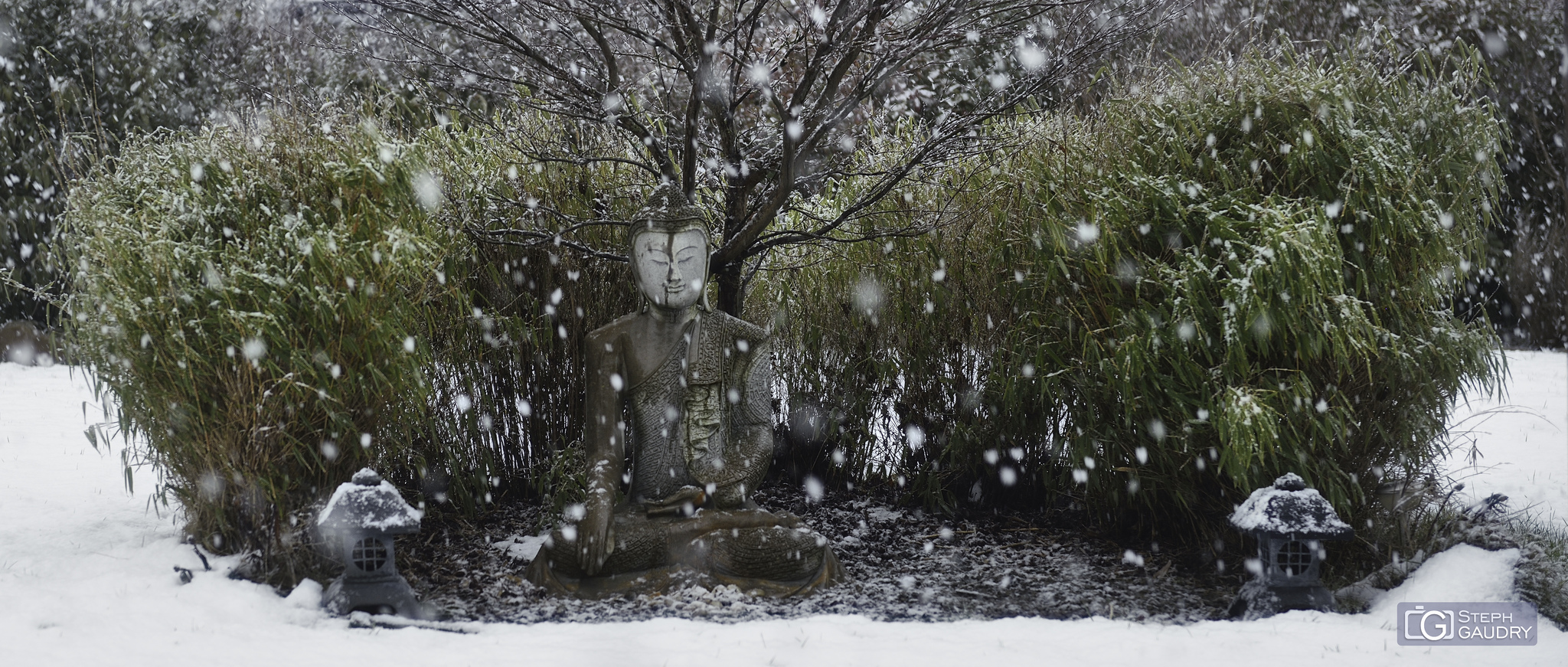 Méditation sous la neige [Cliquez pour lancer le diaporama]