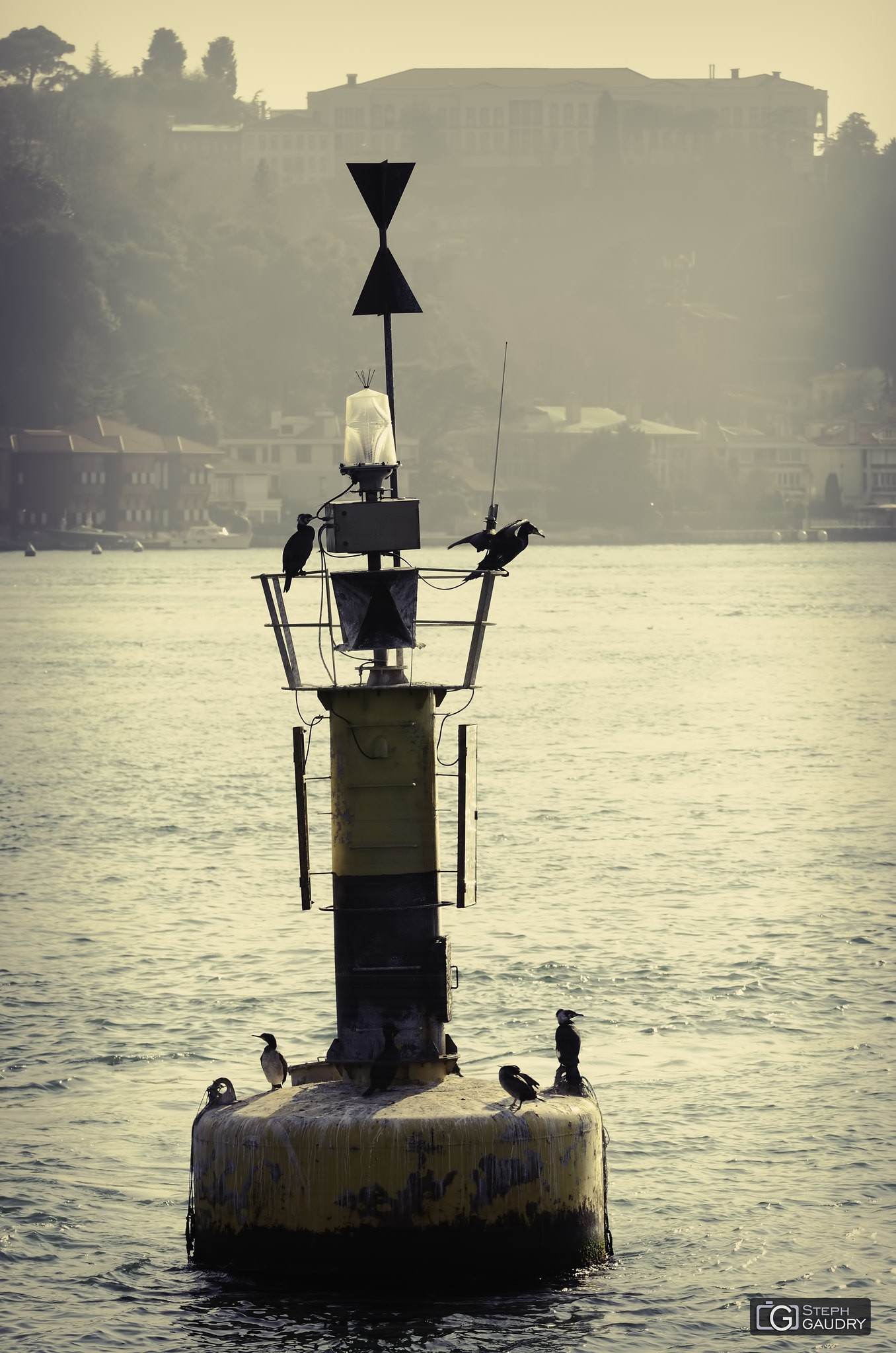 Balise aux cormorans [Klik om de diavoorstelling te starten]