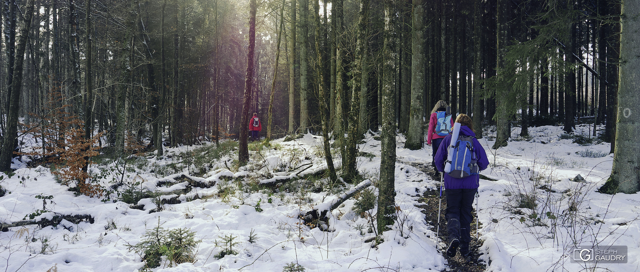 Qué novèles d'amon nos-ôtes? / Marche à Spa 2019_02_03_142839