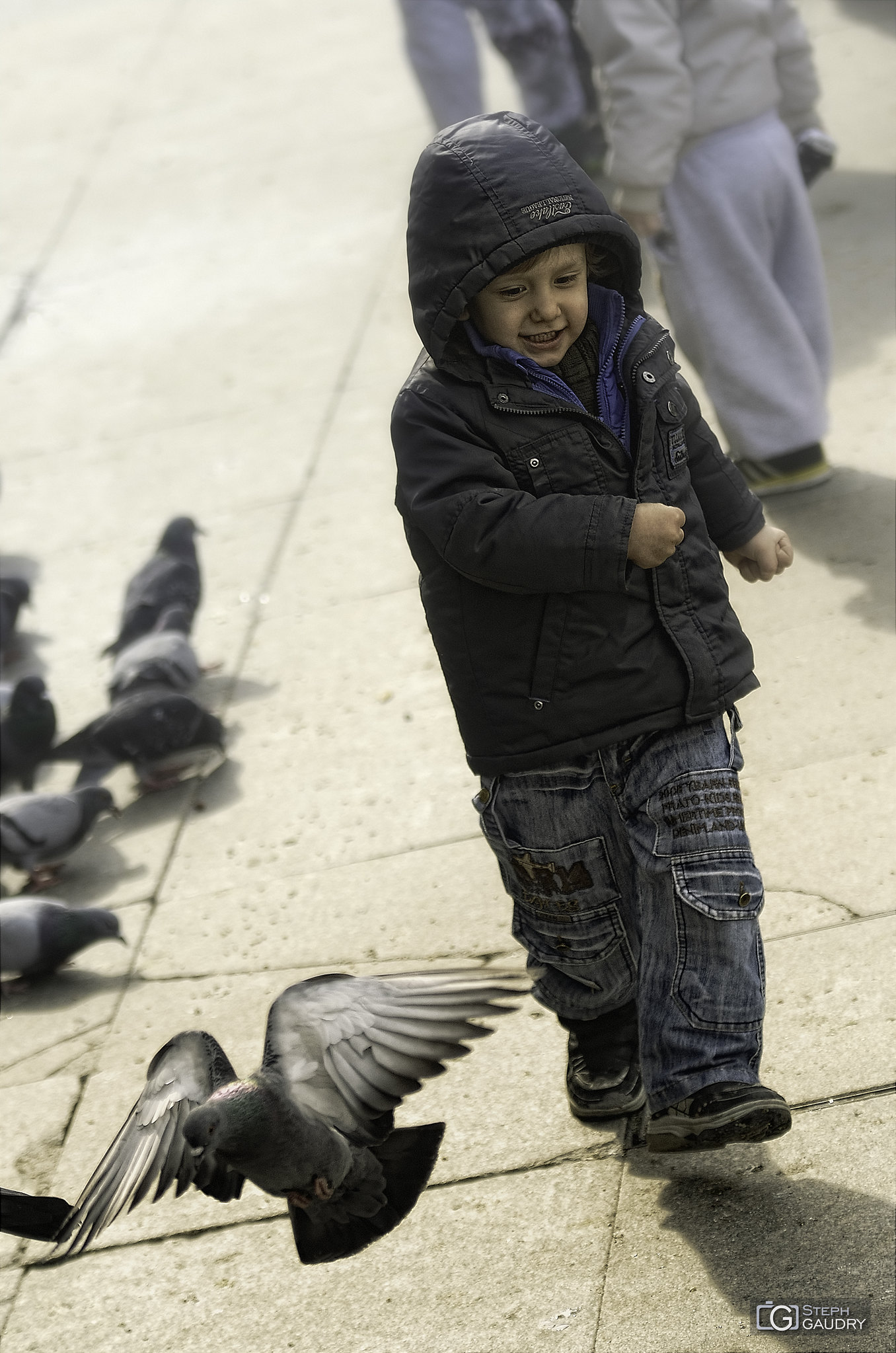 Run with the birds [Cliquez pour lancer le diaporama]