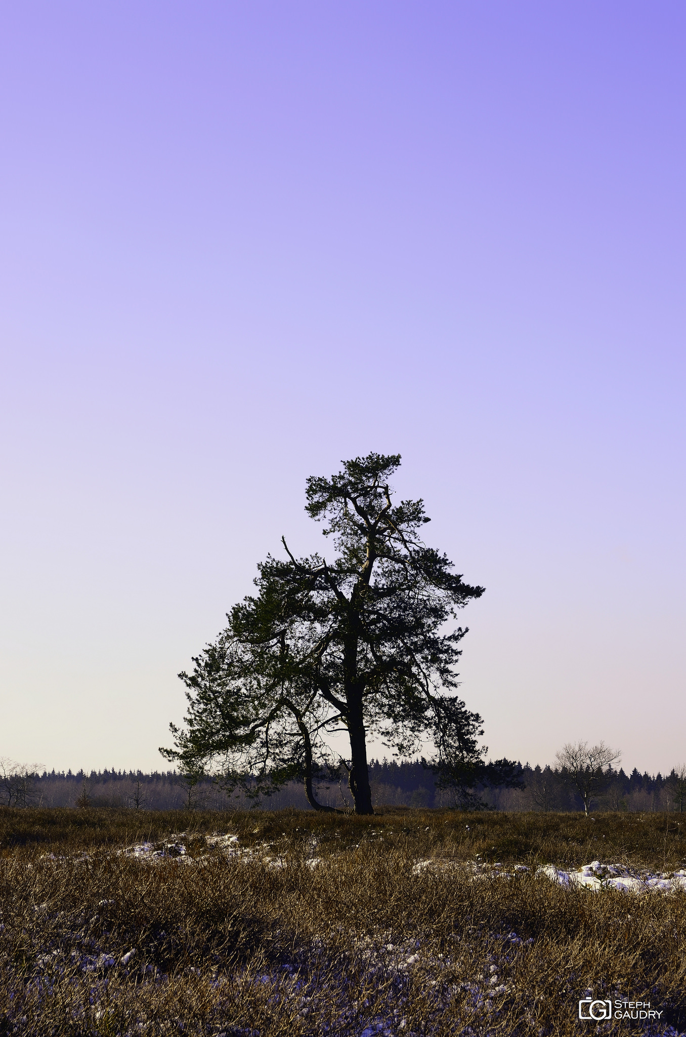 Promenades hivernales / Fagne de Malchamps