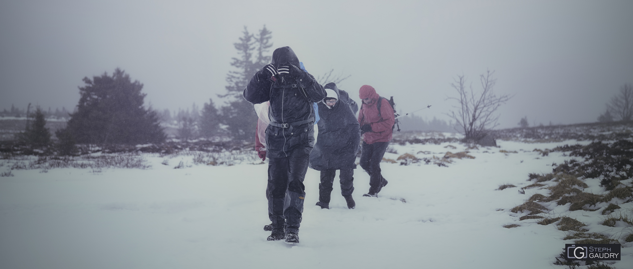 Tempête dans le gazon du Faing - 2/2