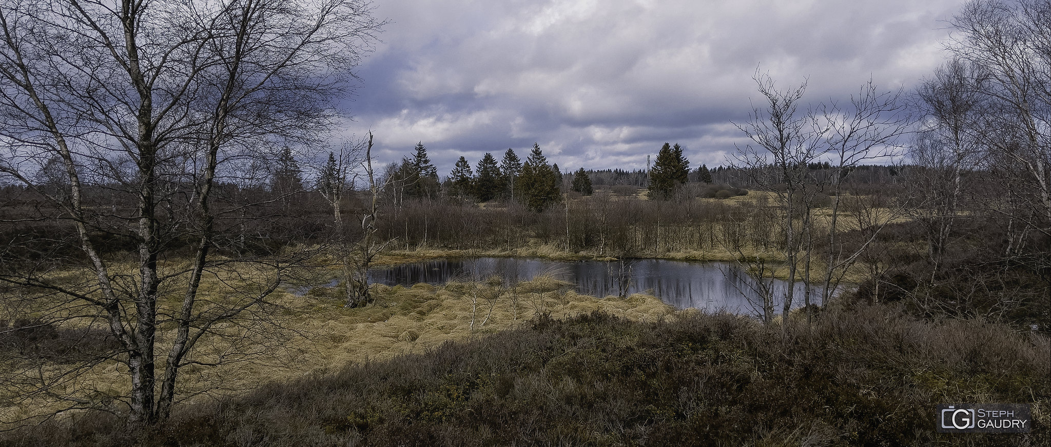 Fagne de Brackvenn - 2022_02_19_120000