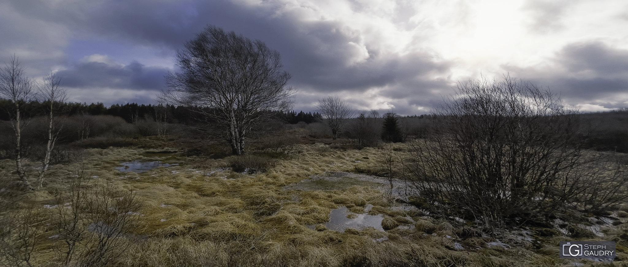 Fagne de Brackvenn - 2022_02_19_115000