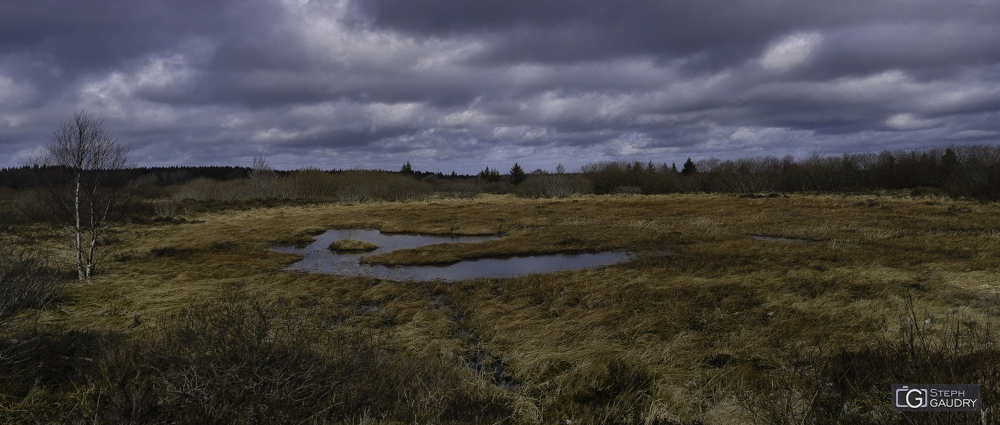 Fagne de Brackvenn - 2022_02_19_115001