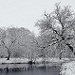 Thumb Le parc de l'abbaye de Val Dieu