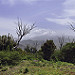 Miniature Photo précédente: Charcas De Erjos