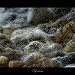 Miniature Photo suivante: