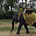 Thumb Eléphant au Cambodge