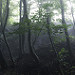 Miniature Photo précédente: