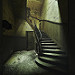 Miniature Photo suivante: From the !̸̶͚͖͖̩̻̩̗͍̮̙̈͊͛̈͒̍̐ͣͩ̋ͨ̓̊̌̈̊́̚͝͠ͅ ̷̧̢̛͖̤̟̺̫̗͚̗͖ͪ̏̔̔̒́ͥ̓ͫ̀ͤ̇ͥ ̡ to the light