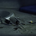Miniature Photo suivante: L'enfer du paradis artificiel