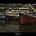 Miniature Photo précédente: