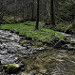 Miniature Photo suivante: