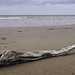 Miniature Photo suivante: