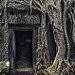 Thumb Temple de Ta Prohm sous les racines de fromager