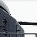 Miniature Photo suivante: