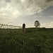 Miniature Photo suivante: Fin d'après-midi à Olne