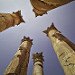 Thumb Le ciel de Jerash