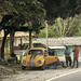 Thumb Coccinelle orange le long de la route de Desplayado (MEX)