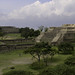 Thumb Monte Albán (Oaxaca MEX)