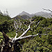 Thumb Barranco de Masca