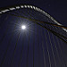 Miniature Photo précédente: Suspended bridge