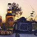 Miniature Photo suivante: Profiter du coucher de soleil...