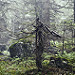 Miniature Photo suivante: 2015_07_27_115740