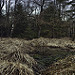 Miniature Photo précédente: