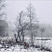 Miniature Photo suivante: